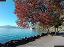 Dateiname=Chillon_08.jpg
Dateigröße=459KB
Abmessungen: 1199x900
hinzugefügt am: 12. Januar 2018 Chillon_08.jpg