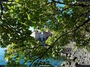 Dateiname=Chillon_17.jpg
Dateigröße=464KB
Abmessungen: 1199x900
hinzugefügt am: 12. Januar 2018 Chillon_17.jpg