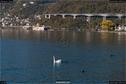 Dateiname=Villeneuve_12.jpg
Dateigröße=351KB
Abmessungen: 1349x900
hinzugefügt am: 12. Januar 2018 Villeneuve_12.jpg