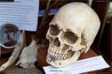 Dateiname=MarktWangen_014.jpg
Dateigröße=180KB
Abmessungen: 1349x900
hinzugefügt am: 16. Oktober 2017 MarktWangen_014.jpg
