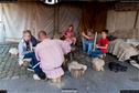 Dateiname=MarktWangen_039.jpg
Dateigröße=269KB
Abmessungen: 1349x900
hinzugefügt am: 16. Oktober 2017 MarktWangen_039.jpg