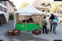 Dateiname=MarktWangen_080.jpg
Dateigröße=351KB
Abmessungen: 1349x900
hinzugefügt am: 16. Oktober 2017 MarktWangen_080.jpg