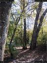 Dateiname=BuerenBaggersee_010.jpg
Dateigröße=285KB
Abmessungen: 676x900
hinzugefügt am: 20. März 2018 BuerenBaggersee_010.jpg