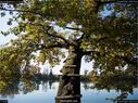 Dateiname=BuerenBaggersee_012.jpg
Dateigröße=474KB
Abmessungen: 1199x900
hinzugefügt am: 20. März 2018 BuerenBaggersee_012.jpg