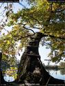 Dateiname=BuerenBaggersee_016.jpg
Dateigröße=272KB
Abmessungen: 676x900
hinzugefügt am: 20. März 2018 BuerenBaggersee_016.jpg