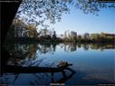 Dateiname=BuerenBaggersee_032.jpg
Dateigröße=283KB
Abmessungen: 1199x900
hinzugefügt am: 20. März 2018 BuerenBaggersee_032.jpg