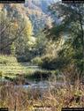 Dateiname=BuerenBaggersee_073.jpg
Dateigröße=306KB
Abmessungen: 676x900
hinzugefügt am: 20. März 2018 BuerenBaggersee_073.jpg