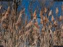 Dateiname=Nature_Seasons_2017_030.jpg
Dateigröße=338KB
Abmessungen: 1199x900
hinzugefügt am: 31. Dezember 2017 Nature_Seasons_2017_030.jpg