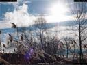 Dateiname=Nature_Seasons_2017_032.jpg
Dateigröße=171KB
Abmessungen: 1199x900
hinzugefügt am: 31. Dezember 2017 Nature_Seasons_2017_032.jpg
