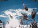Dateiname=Nature_Seasons_2017_034.jpg
Dateigröße=110KB
Abmessungen: 1199x900
hinzugefügt am: 31. Dezember 2017 Nature_Seasons_2017_034.jpg