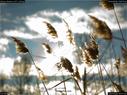 Dateiname=Nature_Seasons_2017_035.jpg
Dateigröße=146KB
Abmessungen: 1199x900
hinzugefügt am: 31. Dezember 2017 Nature_Seasons_2017_035.jpg