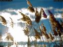 Dateiname=Nature_Seasons_2017_036.jpg
Dateigröße=157KB
Abmessungen: 1199x900
hinzugefügt am: 31. Dezember 2017 Nature_Seasons_2017_036.jpg