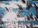 Dateiname=Nature_Seasons_2017_038.jpg
Dateigröße=146KB
Abmessungen: 1199x900
hinzugefügt am: 31. Dezember 2017 Nature_Seasons_2017_038.jpg
