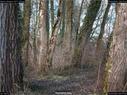 Dateiname=Nature_Seasons_2017_040.jpg
Dateigröße=378KB
Abmessungen: 1199x900
hinzugefügt am: 31. Dezember 2017 Nature_Seasons_2017_040.jpg