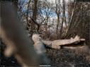 Dateiname=Nature_Seasons_2017_041.jpg
Dateigröße=202KB
Abmessungen: 1199x900
hinzugefügt am: 31. Dezember 2017 Nature_Seasons_2017_041.jpg