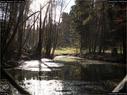 Dateiname=Nature_Seasons_2017_047.jpg
Dateigröße=337KB
Abmessungen: 1199x900
hinzugefügt am: 31. Dezember 2017 Nature_Seasons_2017_047.jpg