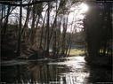 Dateiname=Nature_Seasons_2017_048.jpg
Dateigröße=342KB
Abmessungen: 1199x900
hinzugefügt am: 31. Dezember 2017 Nature_Seasons_2017_048.jpg