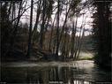 Dateiname=Nature_Seasons_2017_049.jpg
Dateigröße=370KB
Abmessungen: 1199x900
hinzugefügt am: 31. Dezember 2017 Nature_Seasons_2017_049.jpg