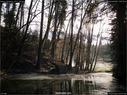 Dateiname=Nature_Seasons_2017_050.jpg
Dateigröße=371KB
Abmessungen: 1199x900
hinzugefügt am: 31. Dezember 2017 Nature_Seasons_2017_050.jpg