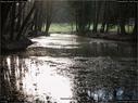 Dateiname=Nature_Seasons_2017_052.jpg
Dateigröße=248KB
Abmessungen: 1199x900
hinzugefügt am: 31. Dezember 2017 Nature_Seasons_2017_052.jpg