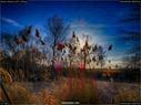 Dateiname=Nature_Seasons_2017_055.jpg
Dateigröße=334KB
Abmessungen: 1199x900
hinzugefügt am: 31. Dezember 2017 Nature_Seasons_2017_055.jpg
