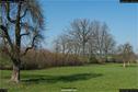 Dateiname=Nature_Seasons_2017_056.jpg
Dateigröße=399KB
Abmessungen: 1348x900
hinzugefügt am: 31. Dezember 2017 Nature_Seasons_2017_056.jpg