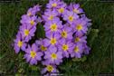 Dateiname=Nature_Seasons_2017_058.jpg
Dateigröße=226KB
Abmessungen: 1349x900
hinzugefügt am: 31. Dezember 2017 Nature_Seasons_2017_058.jpg