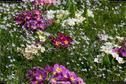 Dateiname=Nature_Seasons_2017_060.jpg
Dateigröße=395KB
Abmessungen: 1349x900
hinzugefügt am: 31. Dezember 2017 Nature_Seasons_2017_060.jpg