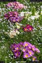 Dateiname=Nature_Seasons_2017_061.jpg
Dateigröße=203KB
Abmessungen: 601x900
hinzugefügt am: 31. Dezember 2017 Nature_Seasons_2017_061.jpg