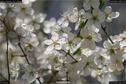 Dateiname=Nature_Seasons_2017_066.jpg
Dateigröße=161KB
Abmessungen: 1349x900
hinzugefügt am: 31. Dezember 2017 Nature_Seasons_2017_066.jpg