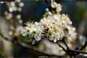Dateiname=Nature_Seasons_2017_067.jpg
Dateigröße=130KB
Abmessungen: 1349x900
hinzugefügt am: 31. Dezember 2017 Nature_Seasons_2017_067.jpg