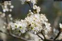 Dateiname=Nature_Seasons_2017_068.jpg
Dateigröße=126KB
Abmessungen: 1349x900
hinzugefügt am: 31. Dezember 2017 Nature_Seasons_2017_068.jpg