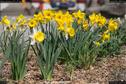 Dateiname=Nature_Seasons_2017_071.jpg
Dateigröße=299KB
Abmessungen: 1349x900
hinzugefügt am: 31. Dezember 2017 Nature_Seasons_2017_071.jpg