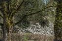 Dateiname=Nature_Seasons_2017_072.jpg
Dateigröße=549KB
Abmessungen: 1349x900
hinzugefügt am: 31. Dezember 2017 Nature_Seasons_2017_072.jpg