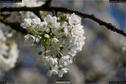 Dateiname=Nature_Seasons_2017_076.jpg
Dateigröße=132KB
Abmessungen: 1349x900
hinzugefügt am: 31. Dezember 2017 Nature_Seasons_2017_076.jpg