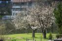 Dateiname=Nature_Seasons_2017_079.jpg
Dateigröße=560KB
Abmessungen: 1349x900
hinzugefügt am: 31. Dezember 2017 Nature_Seasons_2017_079.jpg