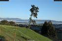 Dateiname=SeebergGrasswil_005.jpg
Dateigröße=238KB
Abmessungen: 1354x900
hinzugefügt am: 04. Januar 2018 SeebergGrasswil_005.jpg