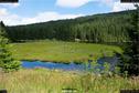 Dateiname=KleinerArbersee_13.jpg
Dateigröße=386KB
Abmessungen: 1349x900
hinzugefügt am: 20. August 2017 KleinerArbersee_13.jpg