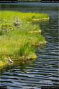 Dateiname=KleinerArbersee_15.jpg
Dateigröße=182KB
Abmessungen: 601x900
hinzugefügt am: 20. August 2017 KleinerArbersee_15.jpg