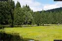 Dateiname=KleinerArbersee_18.jpg
Dateigröße=400KB
Abmessungen: 1349x900
hinzugefügt am: 20. August 2017 KleinerArbersee_18.jpg