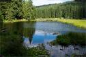 Dateiname=KleinerArbersee_19.jpg
Dateigröße=399KB
Abmessungen: 1349x900
hinzugefügt am: 20. August 2017 KleinerArbersee_19.jpg