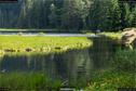 Dateiname=KleinerArbersee_22.jpg
Dateigröße=333KB
Abmessungen: 1349x900
hinzugefügt am: 20. August 2017 KleinerArbersee_22.jpg