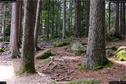 Dateiname=KleinerArbersee_26.jpg
Dateigröße=445KB
Abmessungen: 1349x900
hinzugefügt am: 20. August 2017 KleinerArbersee_26.jpg