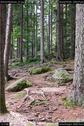 Dateiname=KleinerArbersee_27.jpg
Dateigröße=229KB
Abmessungen: 601x900
hinzugefügt am: 20. August 2017 KleinerArbersee_27.jpg