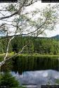 Dateiname=KleinerArbersee_31.jpg
Dateigröße=214KB
Abmessungen: 601x900
hinzugefügt am: 20. August 2017 KleinerArbersee_31.jpg
