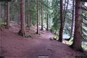 Dateiname=KleinerArbersee_37.jpg
Dateigröße=416KB
Abmessungen: 1349x900
hinzugefügt am: 20. August 2017 KleinerArbersee_37.jpg