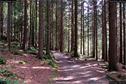 Dateiname=KleinerArbersee_40.jpg
Dateigröße=496KB
Abmessungen: 1349x900
hinzugefügt am: 20. August 2017 KleinerArbersee_40.jpg