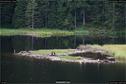 Dateiname=KleinerArbersee_43.jpg
Dateigröße=254KB
Abmessungen: 1349x900
hinzugefügt am: 20. August 2017 KleinerArbersee_43.jpg