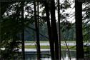 Dateiname=KleinerArbersee_44.jpg
Dateigröße=303KB
Abmessungen: 1349x900
hinzugefügt am: 20. August 2017 KleinerArbersee_44.jpg