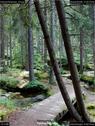 Dateiname=KleinerArbersee_45.jpg
Dateigröße=240KB
Abmessungen: 676x900
hinzugefügt am: 20. August 2017 KleinerArbersee_45.jpg